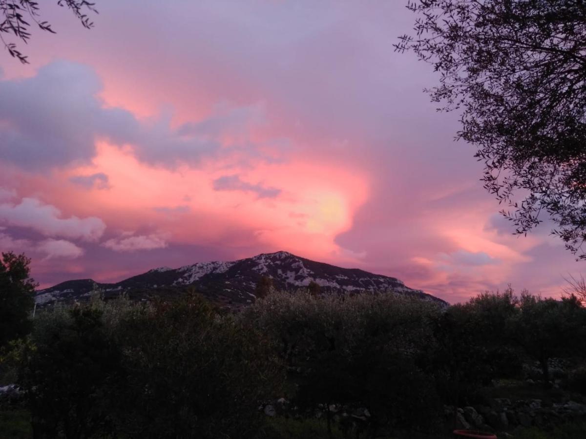 B&B Valverde ดอร์กาลี ภายนอก รูปภาพ
